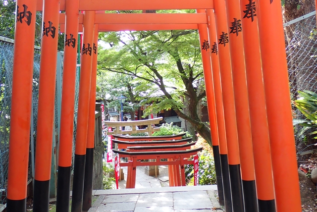 上野　花園稲荷神社